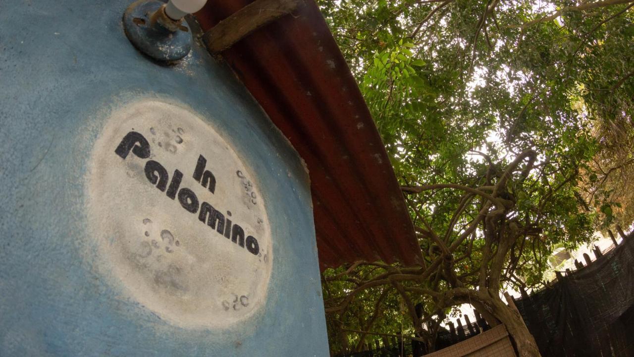 Hostel In Palomino Exterior foto